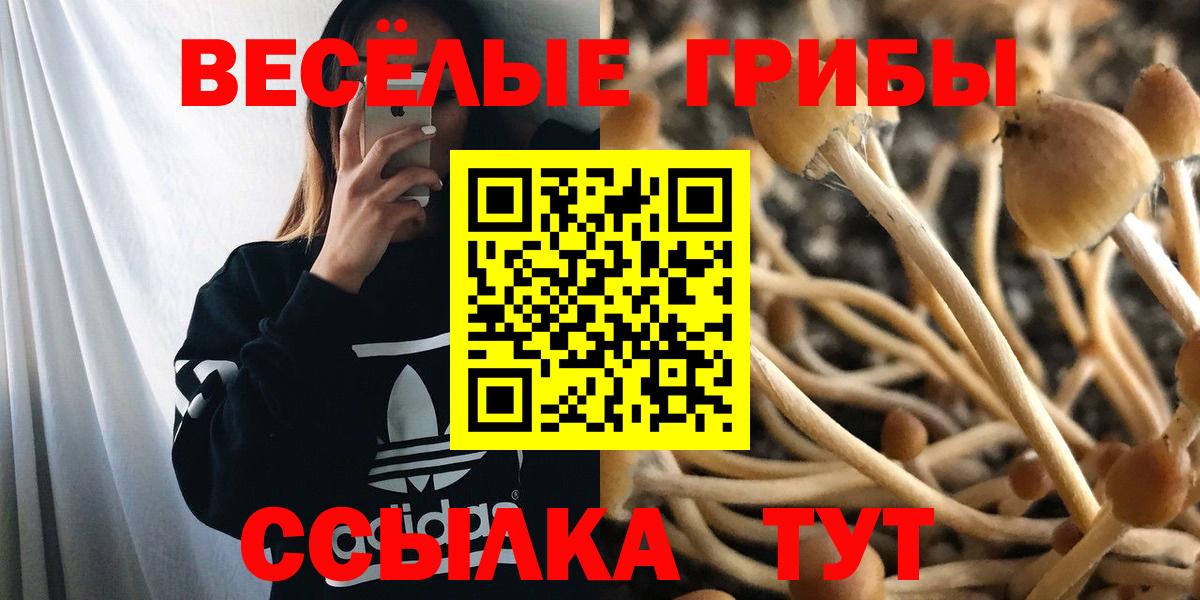 Псилоцибиновые грибы мицелий  Псилоцибиновые грибы прущие грибы  Вход с VPN  Надым 