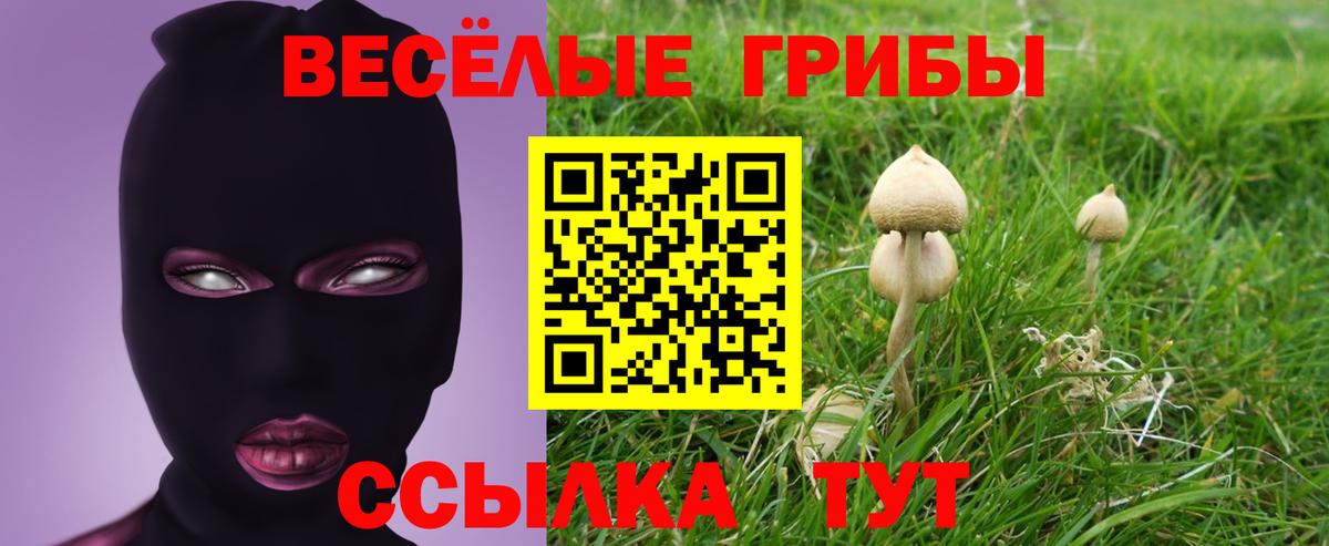 Псилоцибиновые грибы прущие грибы Надым