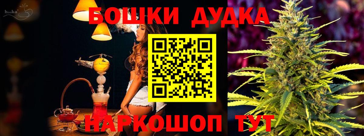 Бошки Шишки план Надым